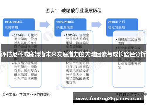 评估尼科威廉姆斯未来发展潜力的关键因素与成长路径分析