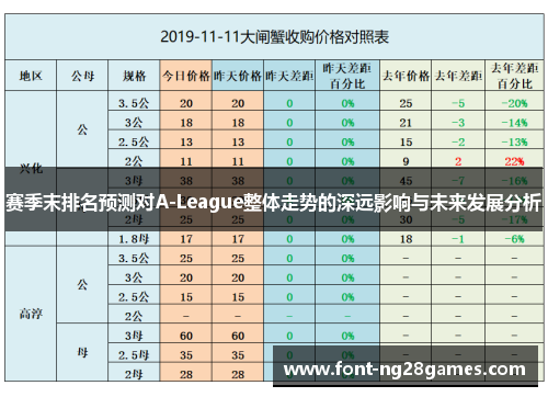 赛季末排名预测对A-League整体走势的深远影响与未来发展分析